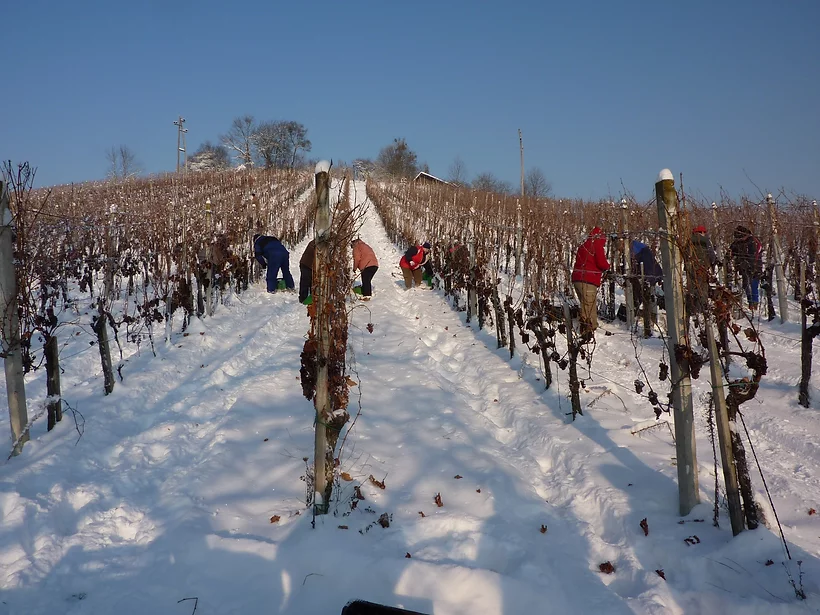 Klet Zorenč Hohnjec